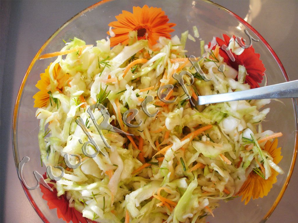 Витаминный салат с уксусом рецепт. Салат с капустой и морковкой. Салат из капусты с морковью. Морковно капустный салат. Салат с белокочанной капустой.