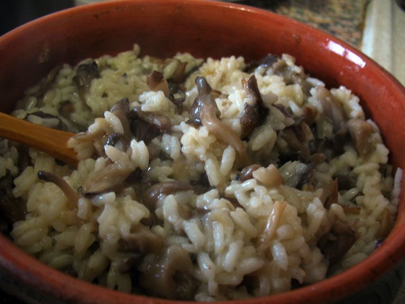  - Risotto con i fungi (  )