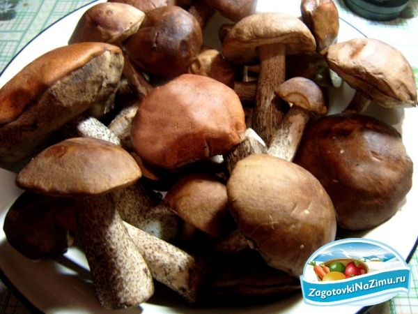 Рецепт - Замораживание грибов
